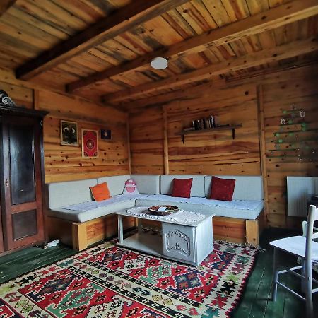 Chalet Belino Sokace Užice Zewnętrze zdjęcie
