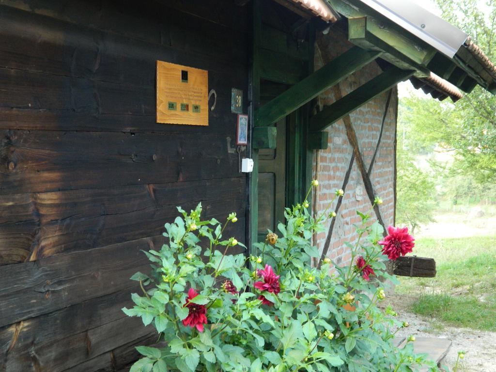 Chalet Belino Sokace Užice Zewnętrze zdjęcie