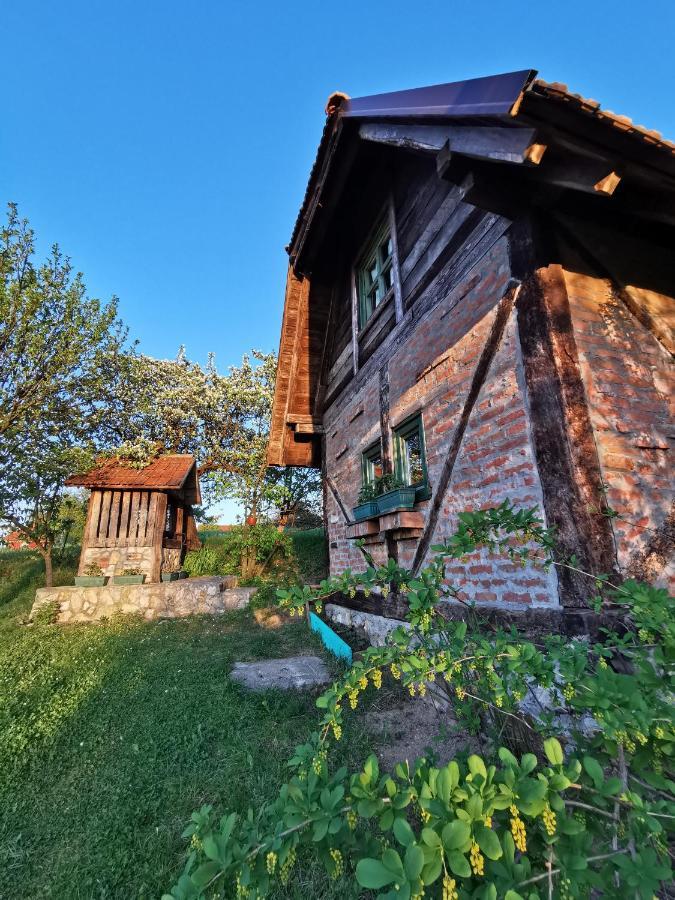 Chalet Belino Sokace Užice Zewnętrze zdjęcie