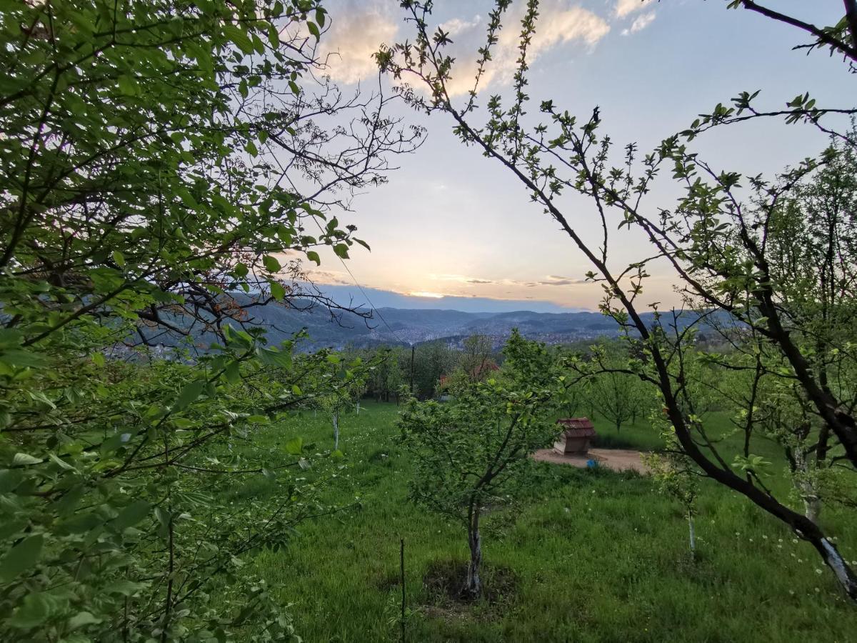 Chalet Belino Sokace Užice Zewnętrze zdjęcie